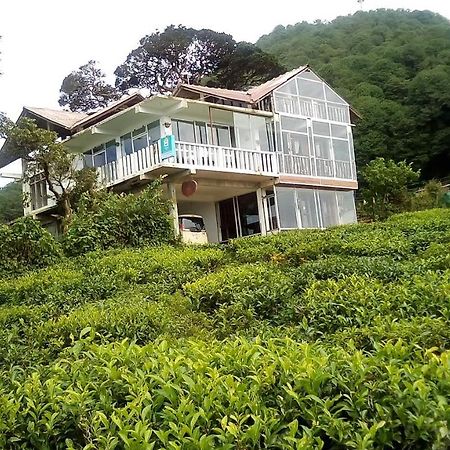 茶园山林小屋 努沃勒埃利耶 外观 照片