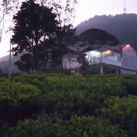 茶园山林小屋 努沃勒埃利耶 外观 照片