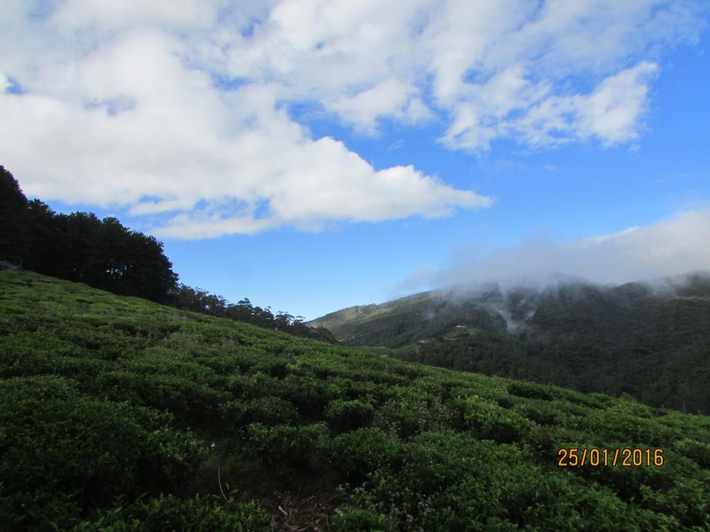 茶园山林小屋 努沃勒埃利耶 外观 照片