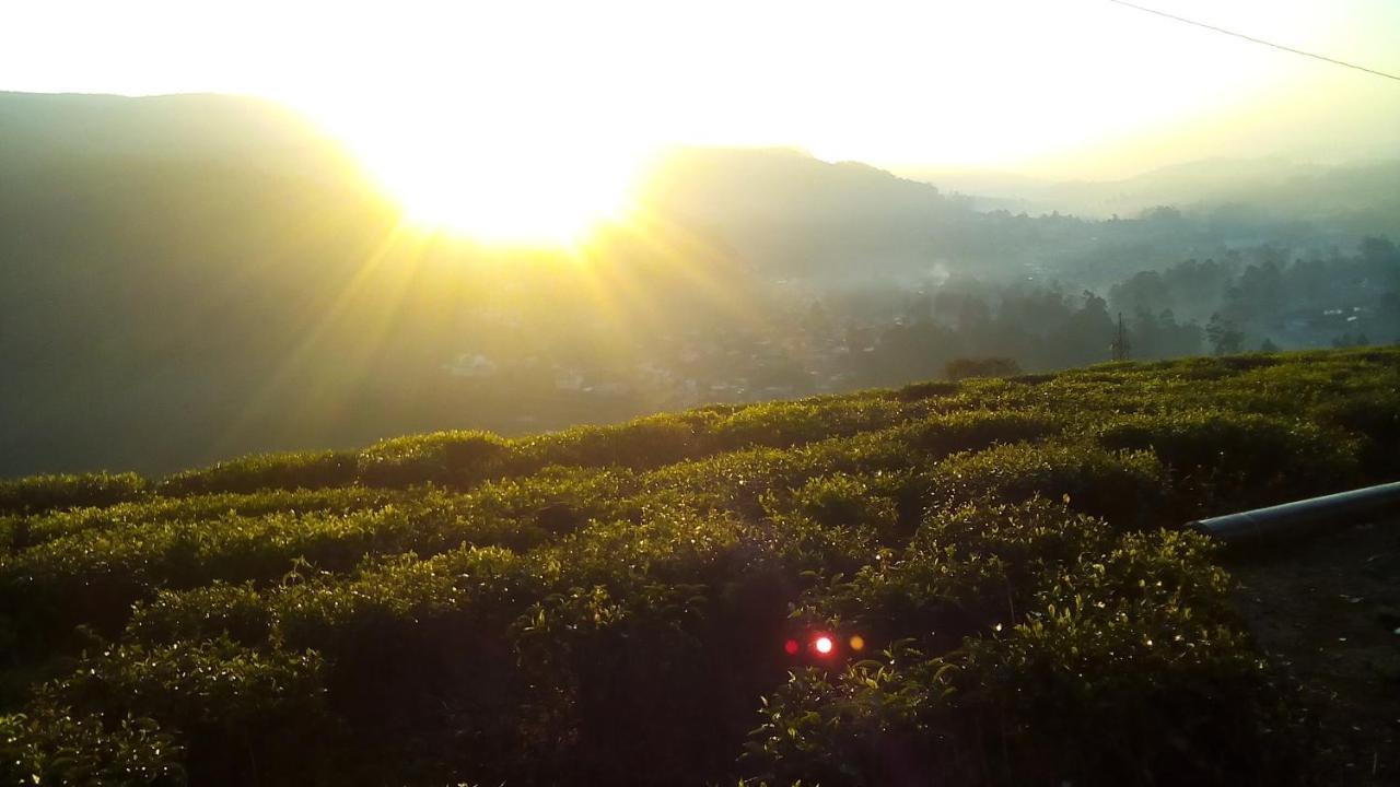 茶园山林小屋 努沃勒埃利耶 外观 照片