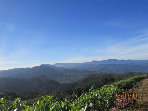 茶园山林小屋 努沃勒埃利耶 外观 照片