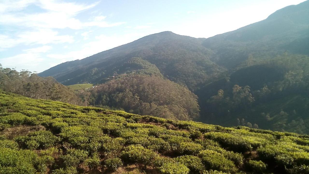 茶园山林小屋 努沃勒埃利耶 外观 照片