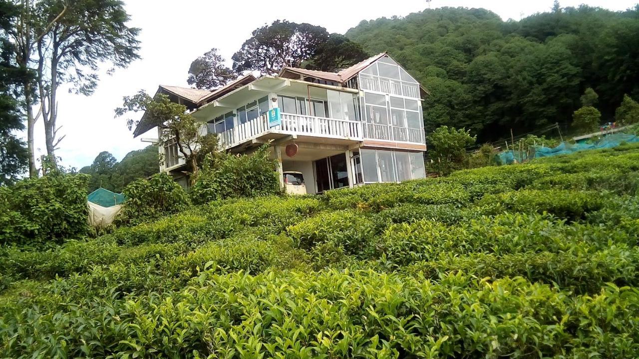 茶园山林小屋 努沃勒埃利耶 外观 照片