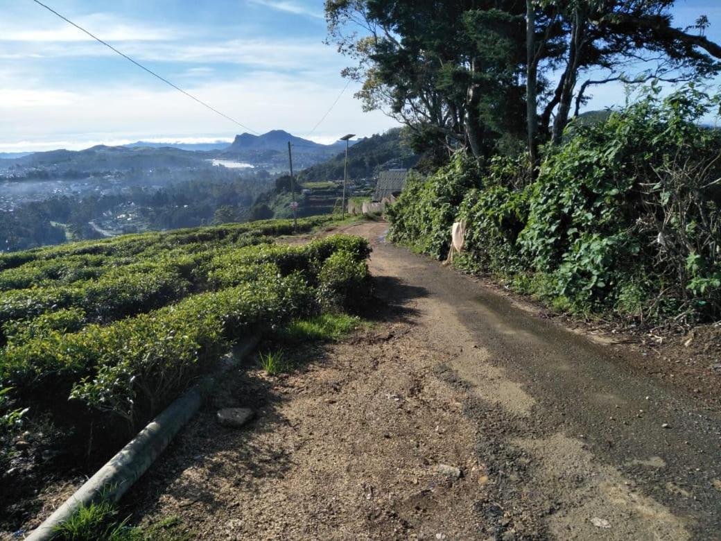 茶园山林小屋 努沃勒埃利耶 外观 照片