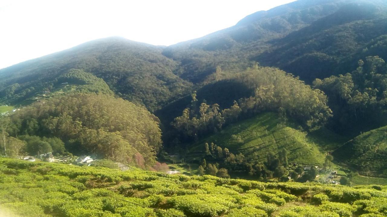 茶园山林小屋 努沃勒埃利耶 外观 照片