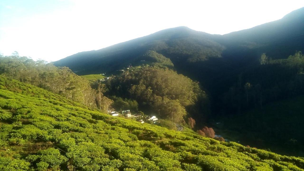 茶园山林小屋 努沃勒埃利耶 外观 照片