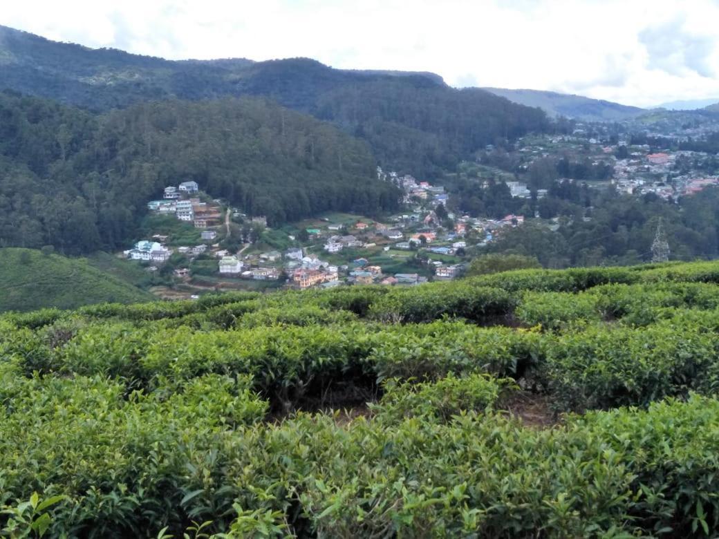 茶园山林小屋 努沃勒埃利耶 外观 照片