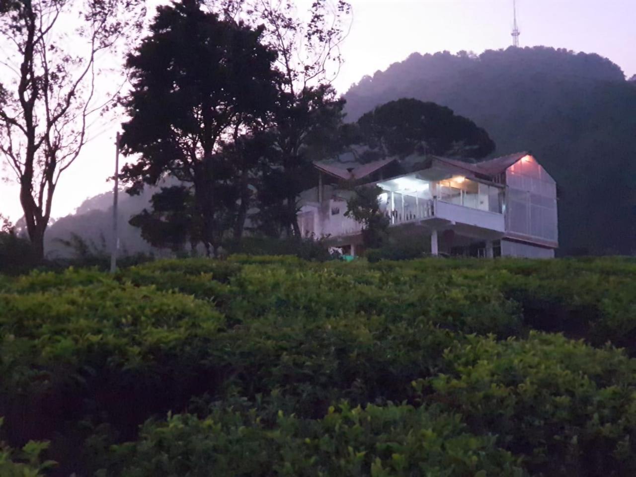 茶园山林小屋 努沃勒埃利耶 外观 照片